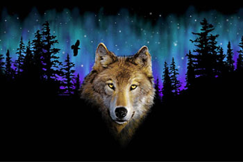 trop beau ce loup